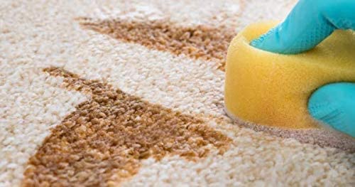 Capture Professional Steam Clean Detergent for All Machines - Home, Car, Dogs & Cats Pet Carpet Cleaner Solution - Strength Odor Eliminator, Stains Spot Remover (1 Gallon)