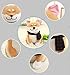CN'Dragon Cute Shiba Inu Plush Toy Doge Stuffed Toy Birthday Gift for Children (Yellow)