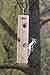Kettle Moraine Cedar Suet Plug Log Feeder