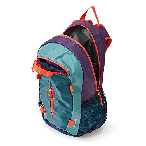 stowaway 20l backpack