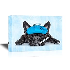 Vet Canvas Wall Art - A Sick Dog Pet Catching Cold - Gallery Wrap Modern Home Art | Ready to Hang - 12x18 inches