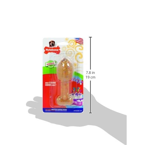 nylabone birthday bone