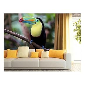 Beautiful Keel-Billed Toucan Perched on a Branch - Removable Wall Mural | Self-Adhesive Large Wallpaper - 66x96 inches