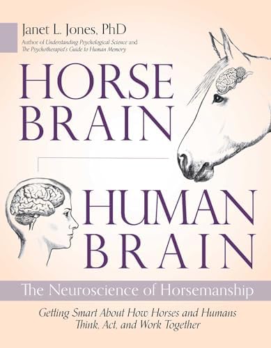 ExpertDDx: Brain and Spine: 9780323443081: Medicine & Health