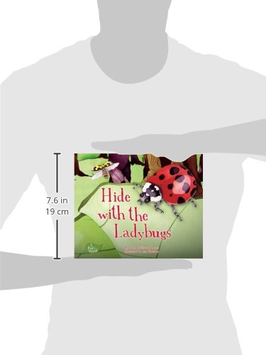 Amazoncom Hide With The Ladybugs A Bugs World - 