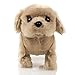 Toysery Puppy Plush Dog Toy for Kids - Puppy Toy,Walks, Barks - Battery Operated (Brown)
