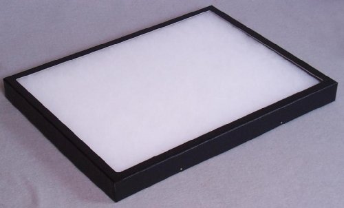 Riker Ryker Specimen Mount Chipboard Display Case - 16 X 12 X 1-1/4 Inches