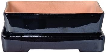 Herstera 11301030 – Bonsai Tree Pot 20 x 14 x 7 cm Black
