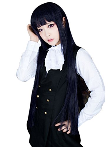 ROLECOS Womens Cosplay Wigs Long Straight Hair Wig (one size, RW140-black)