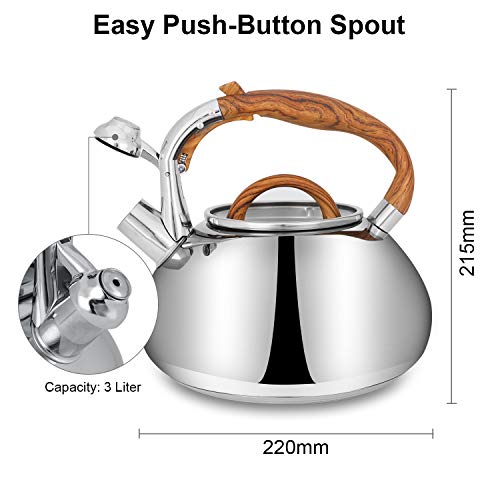 When Does A Teapot Whistle at Suzanne Barnard blog