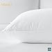 Sobel Westex Sobella Bed Pillow for Sleeping | Side Sleeper for Adults | 300TC 100% Cotton Case | Soft, Machine Washable, Hotel Quality (Standard Medium)