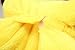 Neverland 42 x 33 cm/ 16.5 x 13 in Decorative Pillow Pet Cushion Pokemon Pikachu Plush Doll