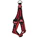 NCAA Collegiate Dog Harness