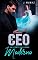 Livro O CEO e um conto de fadas moderno