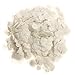 Confetti Kings Premium White Round Confetti Top Grade Biodegradable Paper Confetti - Great for Parties, Celebrations, Sports Matches & Other Events - Large 7 Ounce (200g) Bag