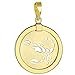 14K Yellow Gold Reversible Round Scorpion Scorpio Zodiac Sign Pendant with Figaro Chain Necklace, 18