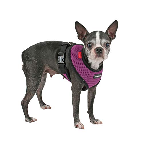 triple dog harness