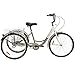 Royal London Adult Tricycle 3 Wheeled Trike Bicycle w/Wire Shopping Basket Silver (Renewed)thumb 1