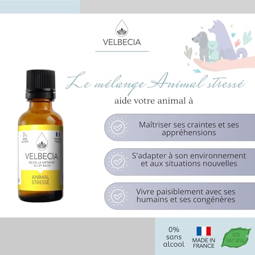 Velbecia Stressed Animal 50 ml + 1 Free Flower Elixirs Without Alcohol – Dr. Bach's Method – Fear, Anxiety Behaviour, Anxiety Behaviour, Anxiety, Anxiety, Nervousness, Dog, Cat, Horse