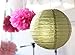 SUNBEAUTY Tissue Paper Pom Pom Flowers Paper Lanterns Wedding Birthday Party Decorations 12pcs