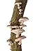 Shiitake Mushroom Mycelium Plug Spawn - 100 Count - Grow Gourmet Mushrooms At Home!