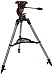 Celestron 93610 AstroMaster AZ Tripod for Small telescopes