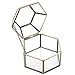 4.75 inch Faceted Hexagonal Clear Glass & Brass Metal Hinged Top Lid Plant Terrarium Box/Tabletop Display Case
