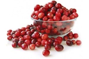 Fresh Frozen Organic Cranberries by Northwest Wild Foods - Healthy Antioxidant Fruit Diet - for Smoothies, Pies, Jams, Syrups (4.5 Pounds)