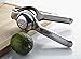 Lime - Lemon Zester/Grater Professional Citrus Juicer Hand Held Fruit Press, Best Kitchen Gadget DC-LS-SS By Delightful Chef
