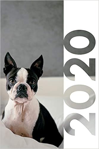 2020: French bulldog accessories for 