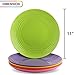 Melange 6-Piece Melamine Dinner Plate Set (Solids Collection ) | Shatter-Proof and Chip-Resistant Melamine Dinner Plates | Color: Multicolor