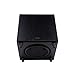Pioneer Elite SW-E10 Andrew Jones 300-Watt Powered Subwoofer