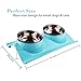 LOVE'S Dog Bowls Pet Food Bowl Raised Cat Puppy Bowls No Spill Elevated Eating Feeding Dog Bowl Set Water Feeder for Small Animals No Tip Stainless Steel