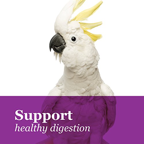 Tropical Carnival Gourmet Macaw Food – Big Bites Daily Diet with Probiotics - Image 6