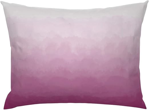 Amazon Com Roostery Pillow Sham Gradient Clouds Dip Dye Ombre
