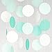 Circle Dots Paper Party Garland Streamer Backdrop (10 Feet Long) - Aqua, Mint, Pearl White Glitter primary