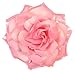 WD2U 3 in 1 Large Sequin Rose Flower Hair Bow Alligator Clip Brooch Pony Tail