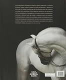 Image de El caballo. Esplendor y nobleza