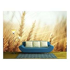 Golden Wheat Field and Sunny Day - Removable Wall Mural | Self-Adhesive Large Wallpaper - 66x96 inches