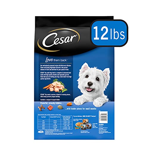 CESAR Small Breed Dry Dog Food Rotisserie Chicken Flavor with Spring
