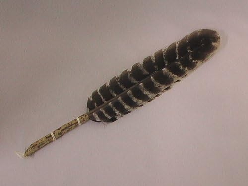 Amazon Co Jp 茶道具 羽箒 はぼうき 炉用 唐国鳥 ホーム キッチン