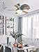 Microfiber Feather Duster with Telescoping Extension Pole/Hypoallergenic Dust Cleaner/Bendable Flexible Cleaning Head/Extendable Tool for Ceiling Fan,Gap… (Black)