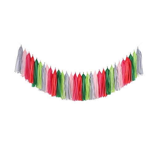 Fonder Mols Watermelon Party Tassel Garland DIY Kit Balloon Tail Tassels Melon Birthday Summer Party Decorations(Pack of 30, Coral Fuchsia Green Pink Polka) A24
