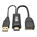 Tripp Lite HDMI to DisplayPort Active Converter w/USB Power 4Kx2K @ 30Hz HDMI to DP M/F 6in 6" (P130-06N-DP-V2)
