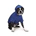Zack & Zoey Basic Hoodie for Dogs, 16