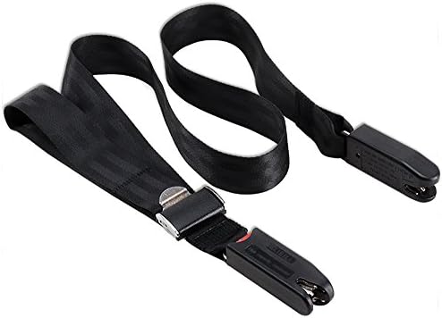 Baby ISOFIX Car Safety Seats Belt, DOGOO Child General Car Interface Passenger Safety Belt,8 Times Sewing Durable Polyester Nylon for Baby Safety 2 years Warranty