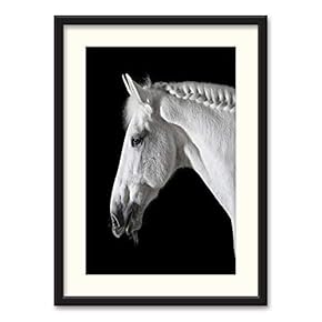 Black Paper Framed Canvas Wall Art for Living Room, Bedroom Horse Theme Canvas Prints for Home Decoration Ready to Hanging - 23x31 inches