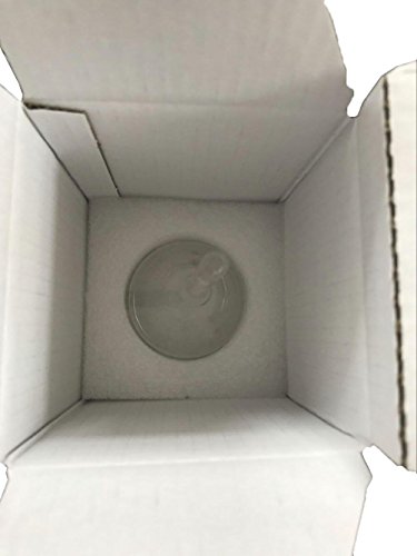 Glass Funnel Lab Funnel Neutral Glass (50mm)