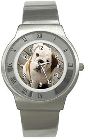 English Bulldog Stainless Steel Watch Great for Men Women HOT Gifts NEW