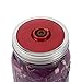 6 Pack of Fermentation Lids for Wide Mouth Mason Jars, Mental Lids and Vacuum Pump Not Included